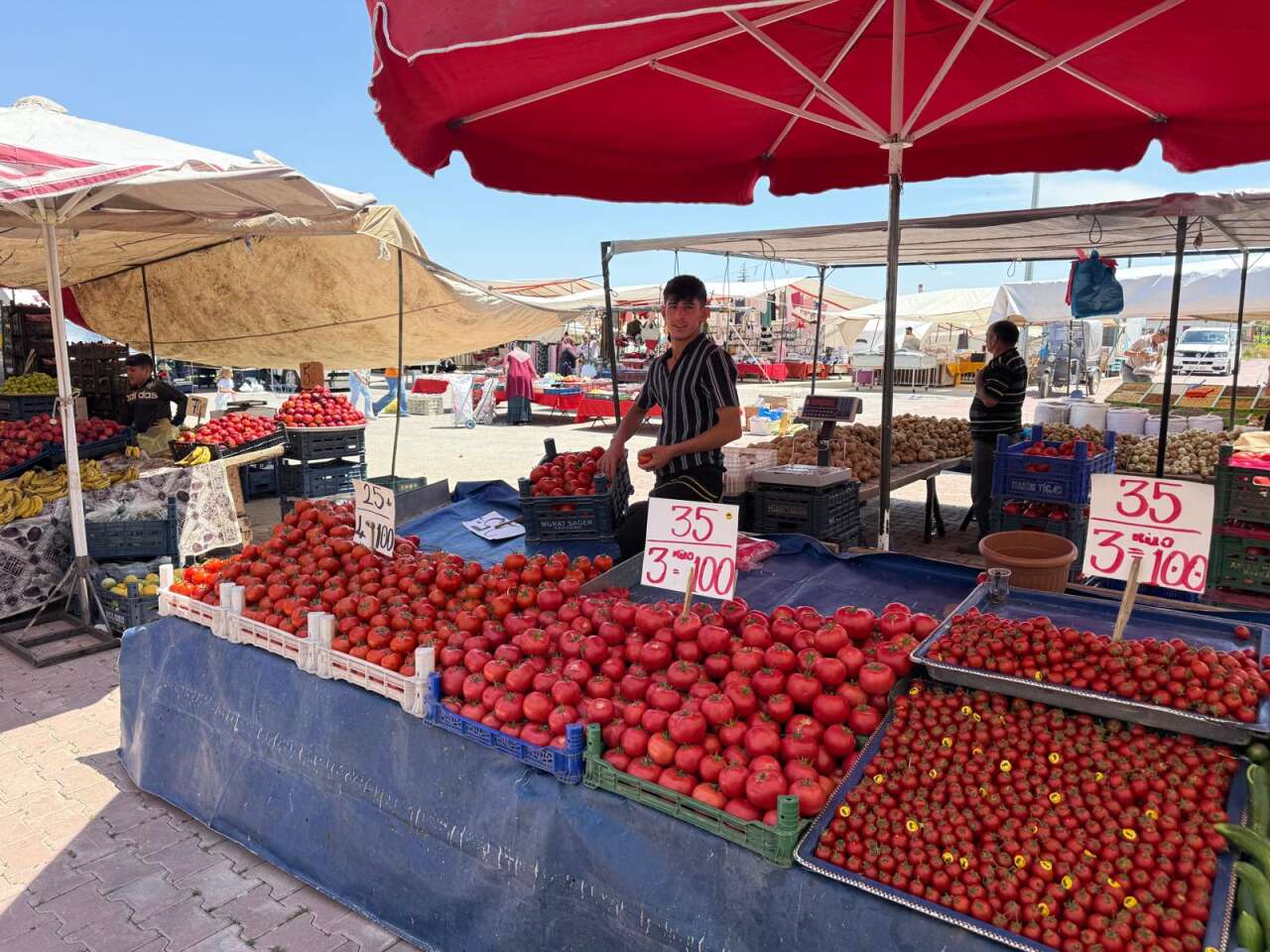 Konya’nın pazarlarında yaz bereketi! Tezgahlar renklendi, fiyatlar dikkat çekti 8